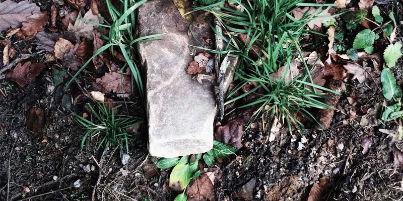 一和博雅：以企业培训与管理咨询双轮驱动，赋能组织卓越成长