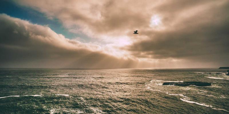 一和博雅：以战略规划与组织效能双轮驱动，赋能企业持续增长