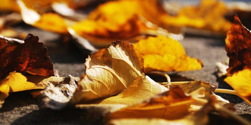 从家族传承到现代治理：企业培训与领导力发展如何重塑组织效能