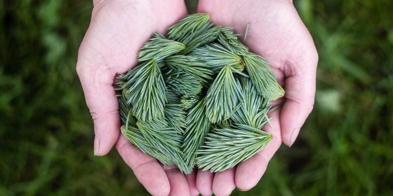 企业培训与战略规划如何协同驱动增长?一和博雅管理咨询的实践启示