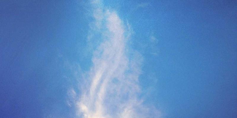 可持续供应链管理咨询：以战略规划与领导力发展提升组织效能