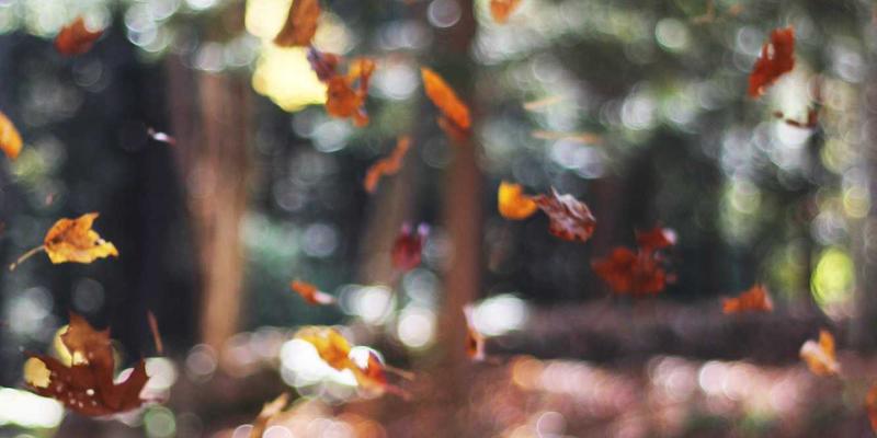 基于管理咨询的供应链韧性评估与风险预警体系设计：战略规划与领导力发展的关键路径