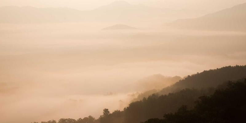 如何科学评估管理咨询服务的投资回报率？一和博雅领导力发展项目的效果衡量指南