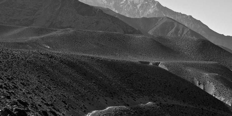 如何通过管理咨询构建敏捷组织：提升组织效能以应对市场不确定性 | 一和博雅洞见