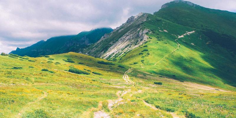 战略规划驱动组织效能：管理咨询如何通过业务流程再造实现降本增效