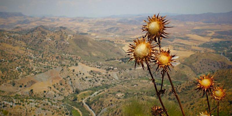 战略规划驱动韧性供应链：管理咨询如何助力企业应对全球不确定性