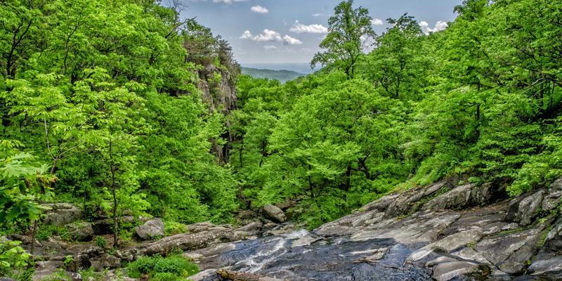 数字化转型中的组织变革管理：领导力发展与战略规划的关键作用