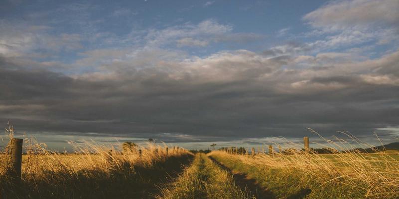 流程挖掘赋能管理咨询：驱动端到端运营优化与领导力发展