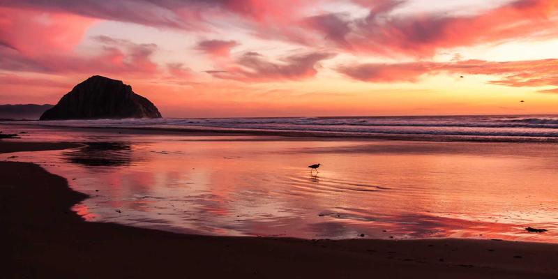 管理咨询3.0时代：领导力发展如何重塑企业核心竞争力