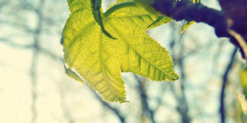 管理咨询92：战略规划与领导力发展的双轮驱动，赋能企业持续增长