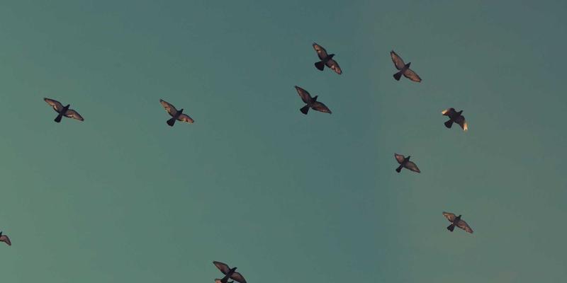 管理咨询入门：如何通过战略规划提升组织效能