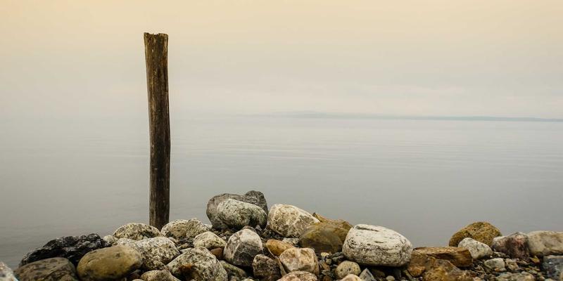 管理咨询在数字化转型中的战略角色与实施路径