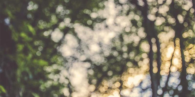 管理咨询如何助力企业构建以客户为中心的运营模型