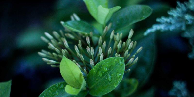 管理咨询如何赋能企业：战略规划与领导力发展的双轮驱动