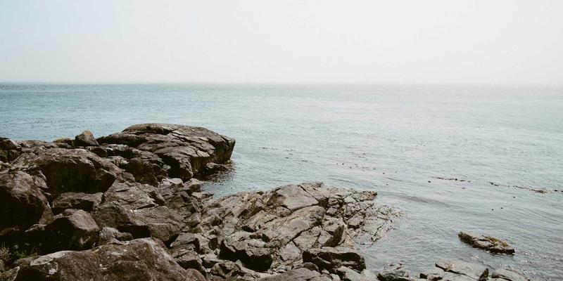 管理咨询如何驱动商业模式创新：重塑价值主张与盈利模式