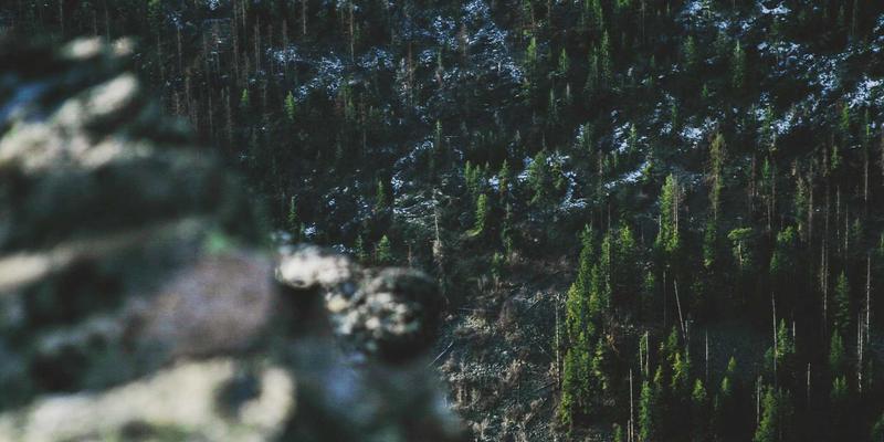 管理咨询如何驱动组织变革与流程再造：提升组织效能的战略实践