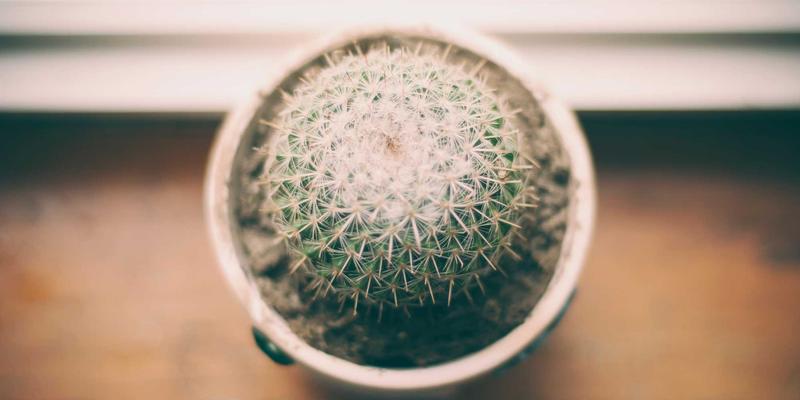 管理咨询如何驱动组织效能跃升：战略规划的三大关键路径