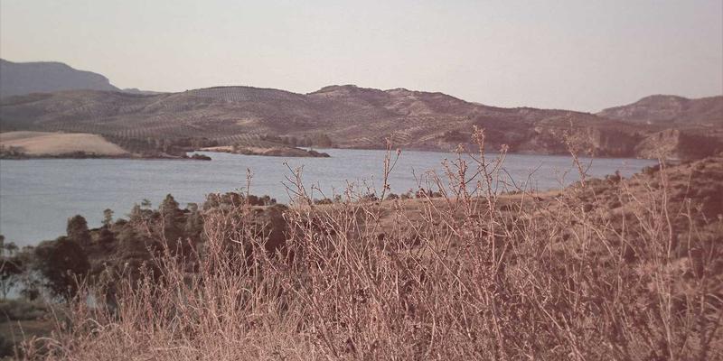 管理咨询新范式：如何通过企业培训、领导力发展与战略规划的三元协同驱动组织进化