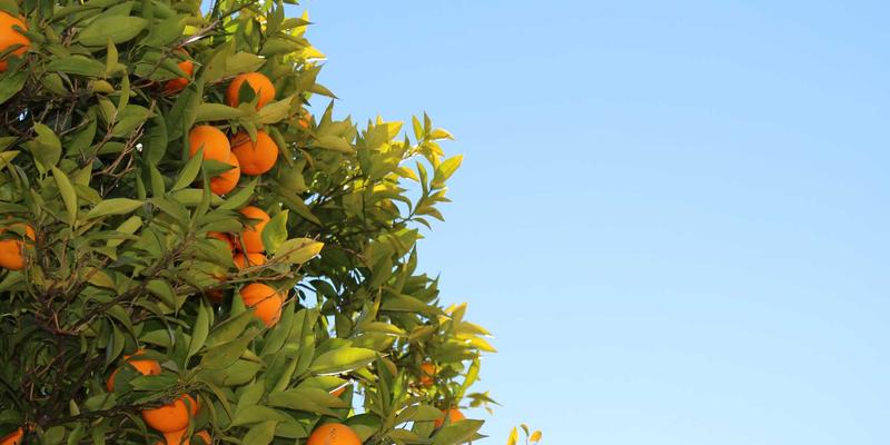 领导力发展与战略规划：管理咨询如何赋能金融科技企业合规风控体系升级